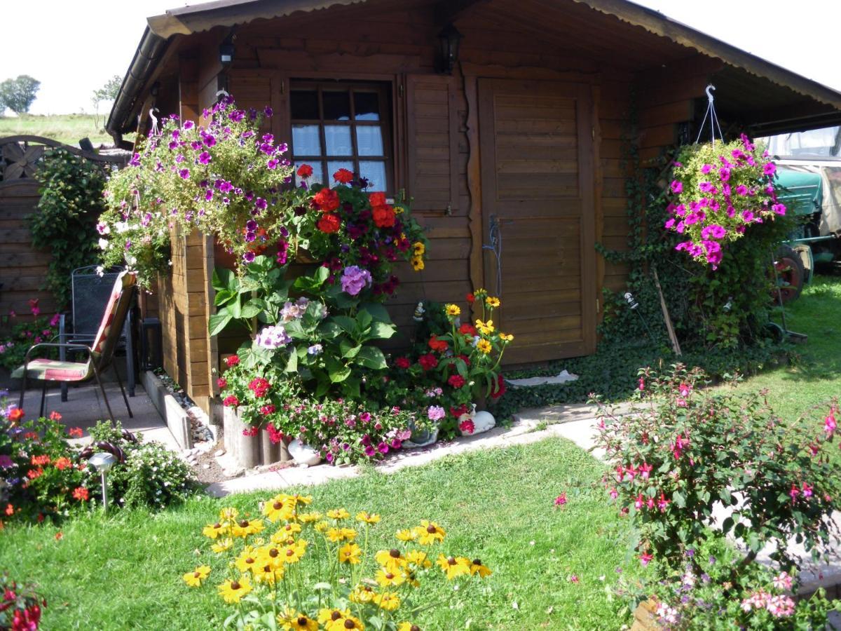 Pension Haus Ludwig Schotten Exterior photo